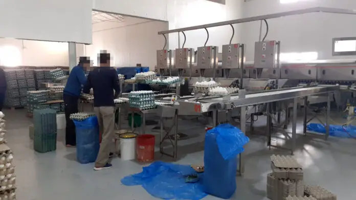 Allanamiento GNA (8)