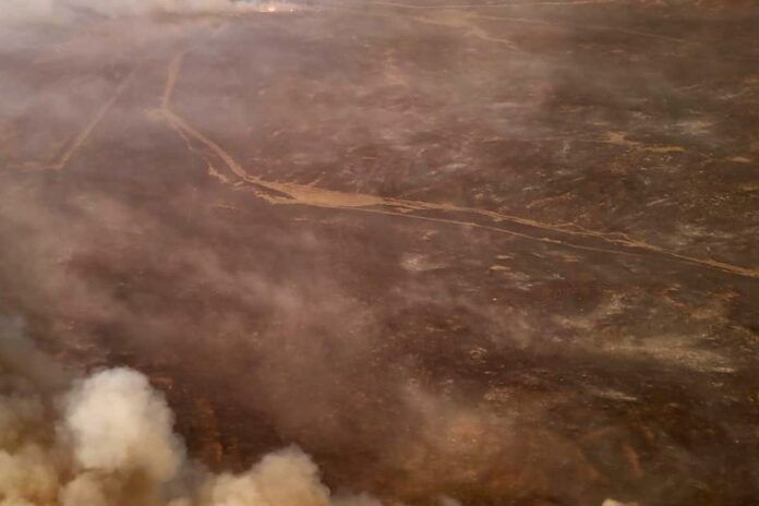Incendio-norte-provincial