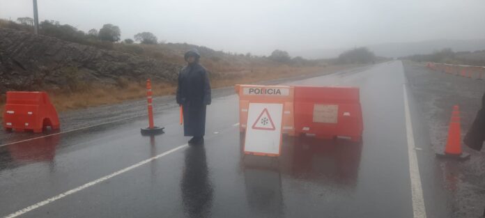 WhatsApp Image 2022-09-27 at 17.51.52