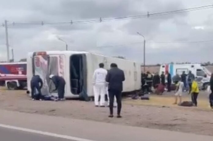 colectivo boca