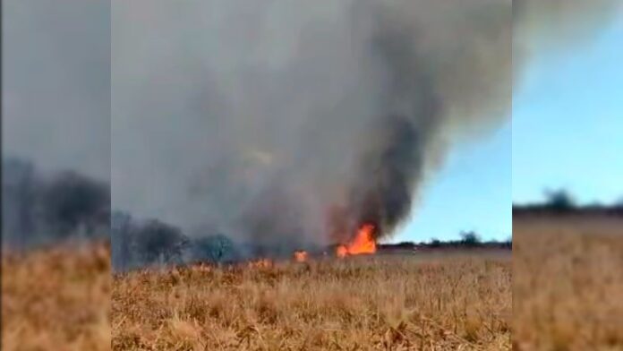 incendio-despenaderos