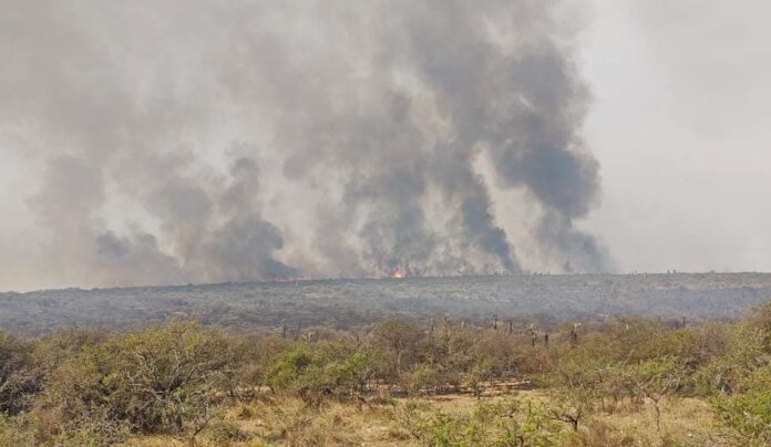 incendios (1)