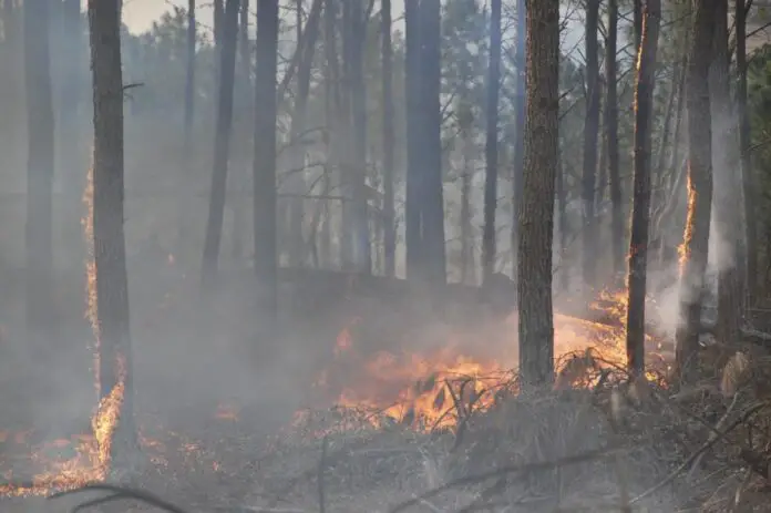 incendios riesgo