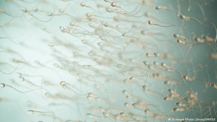 Science PhotoLibrary IMAGO