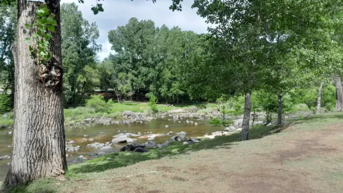 WhatsApp Image 2022-11-13 at 10.42.17