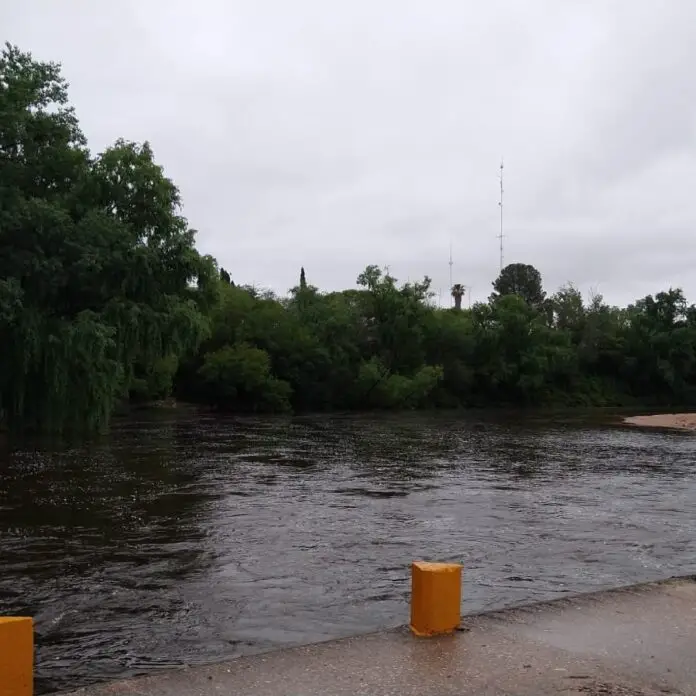 WhatsApp Image 2022-11-13 at 16.29.11