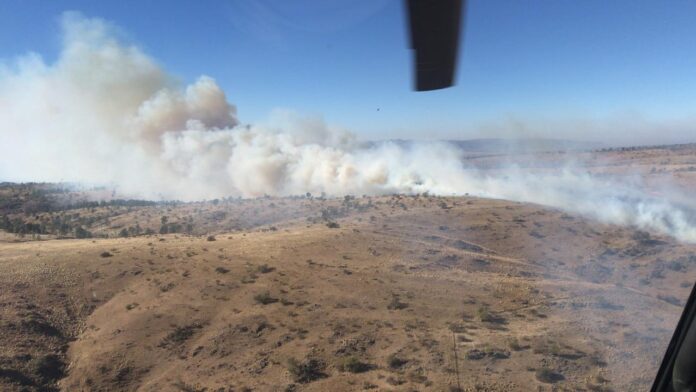 incendiocalamauch