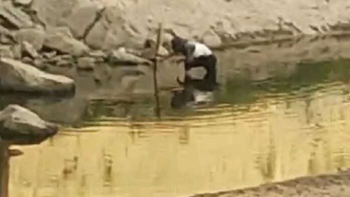 pescadores