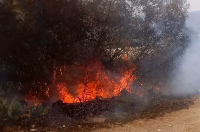 incendio huerta grande
