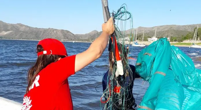 kitesurfista