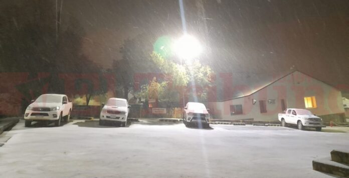 nieve jujuy