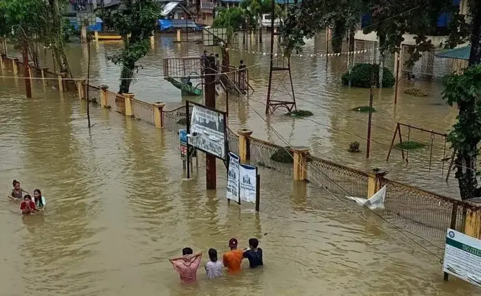 WhatsApp Image 2023-01-15 at 17.58.31