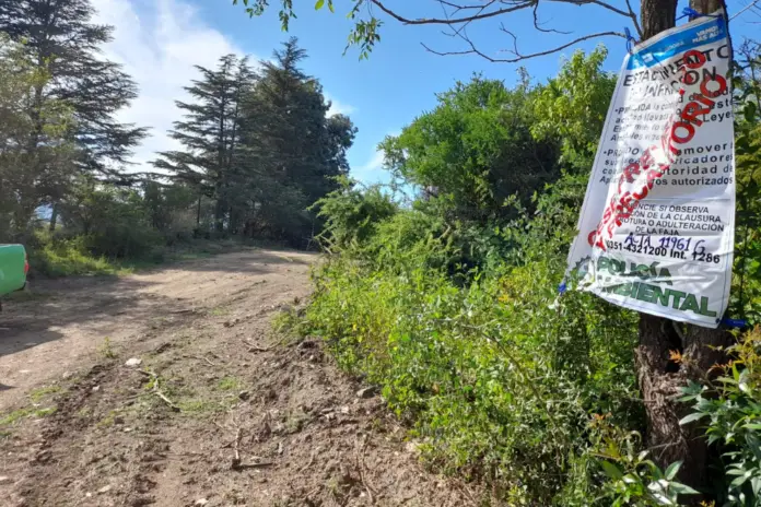 Intervencion-Forestal