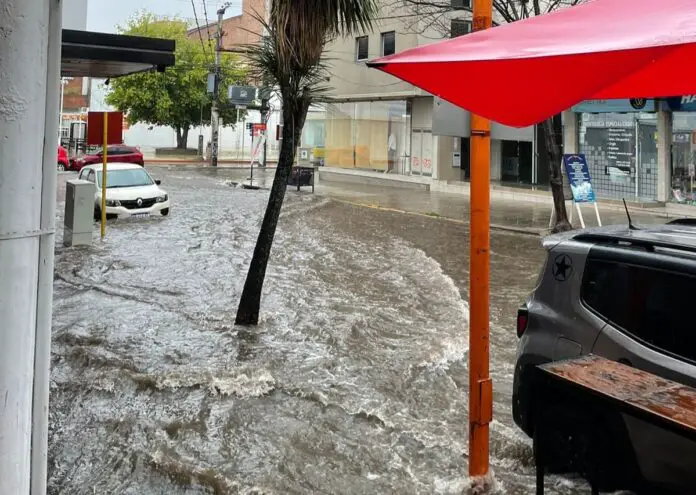 LosArtesanosoo