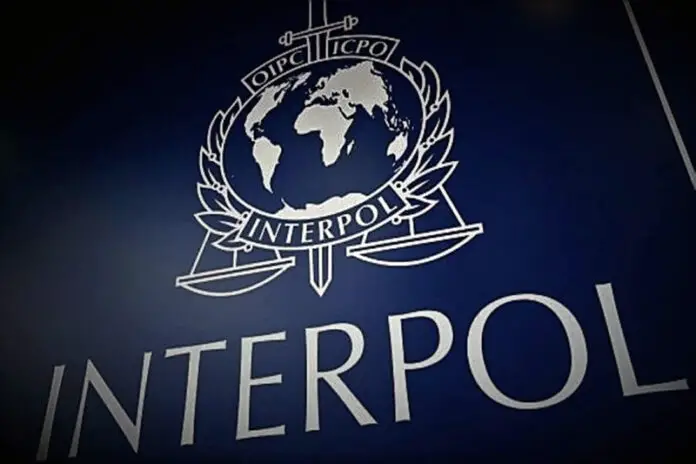 Interpol-678