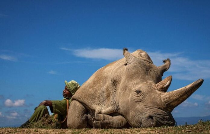 WhatsApp Image 2023-03-15 at 13.16.54