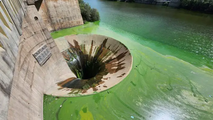 WhatsApp Image 2023-03-26 at 09.34.49