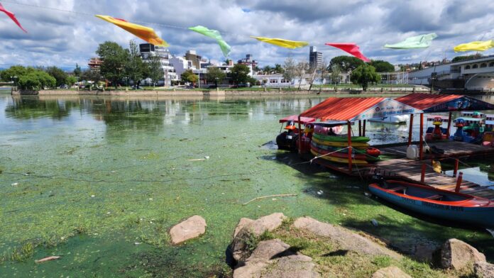 basura-lago-25marzo2023 (5)