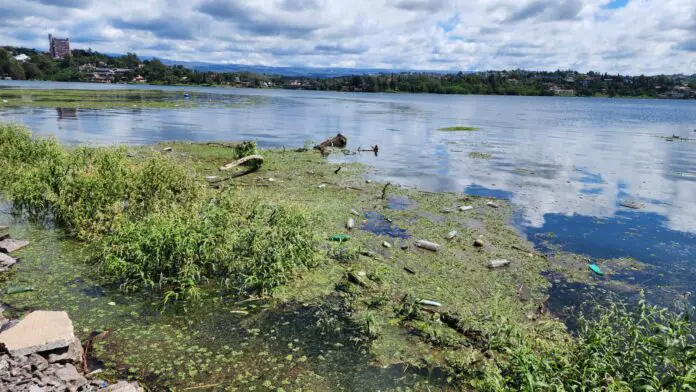 basura-lago-25marzo2023 (6)