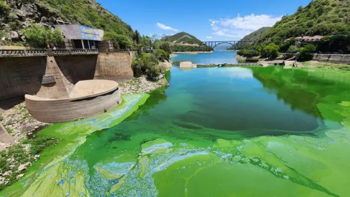 lago-san-roque-contaminacion-2023