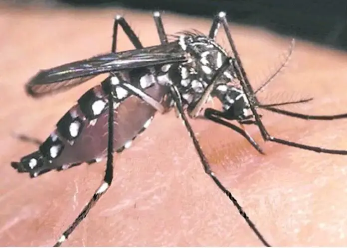 WhatsApp Image 2023-04-08 at 17.45.07