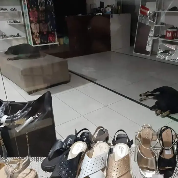 WhatsApp Image 2023-04-17 at 17.47.31