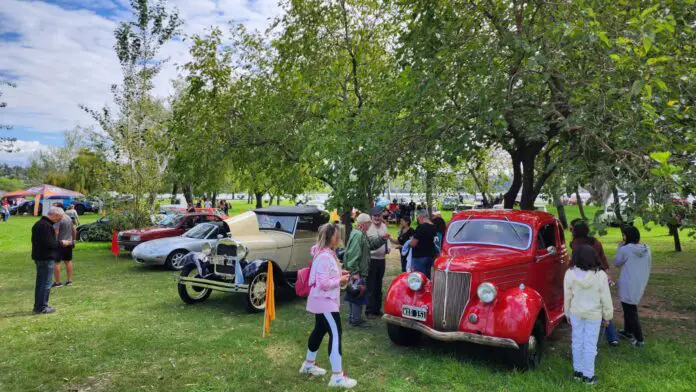 automoto-festival (6)