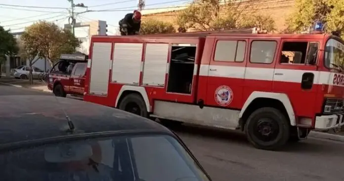 lapara1
