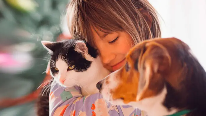 peque-gato-perro-mascotas