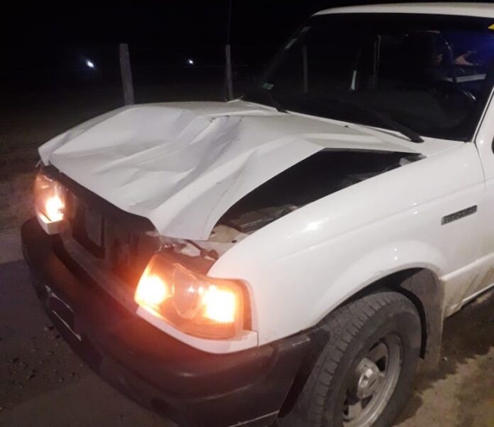 ranger caballo