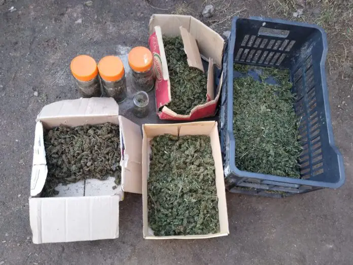 WhatsApp Image 2023-05-07 at 12.04.39