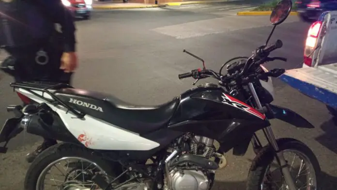 choque moto perro