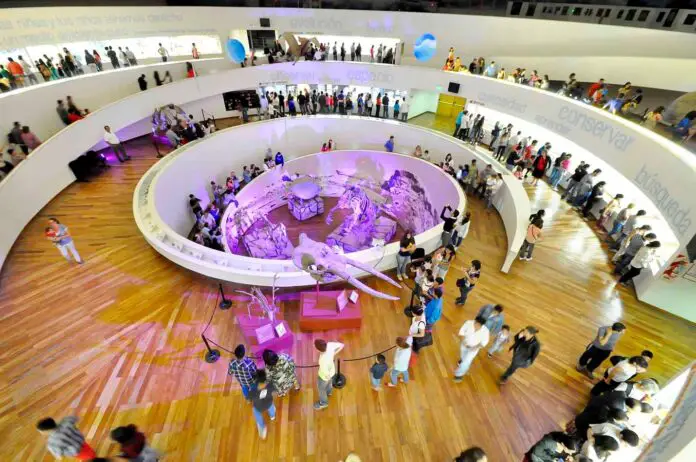 museo2