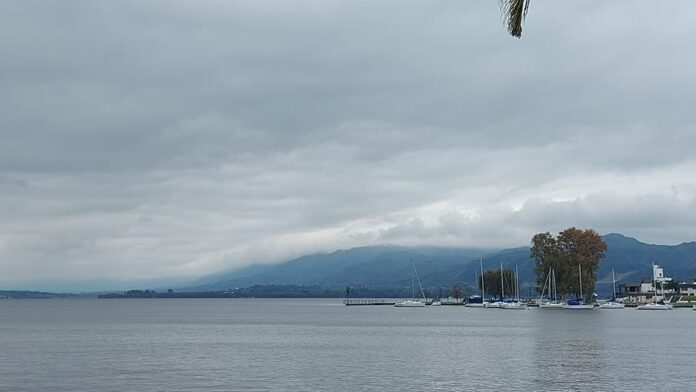 tortullago