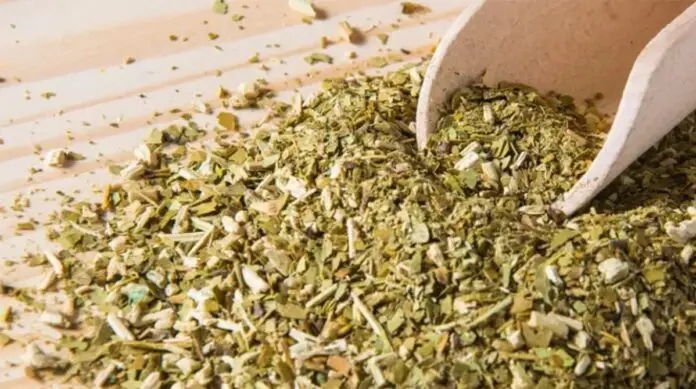 yerba