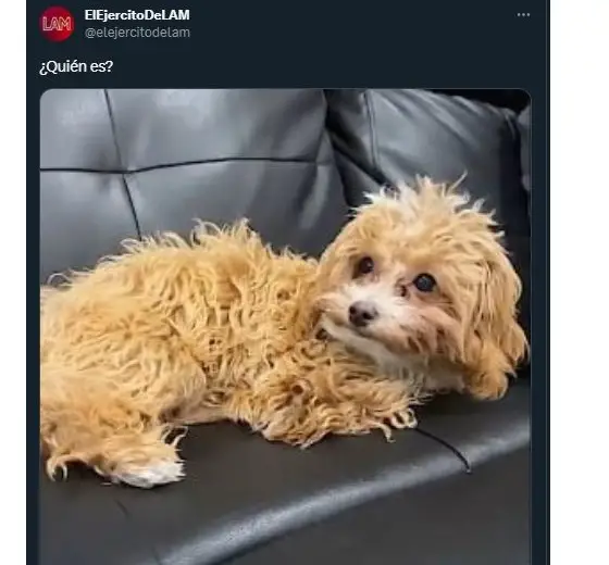 caramelo