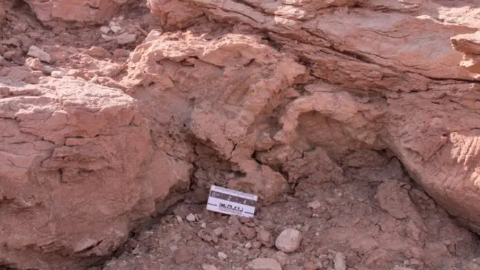 huella dinosaurio