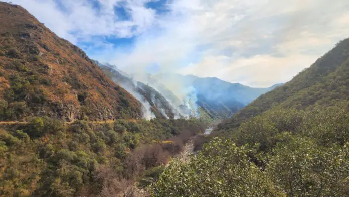 incendiodice