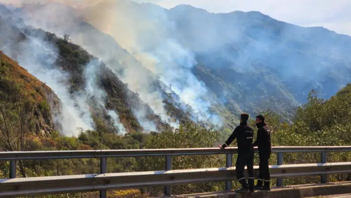 incendioeneldique