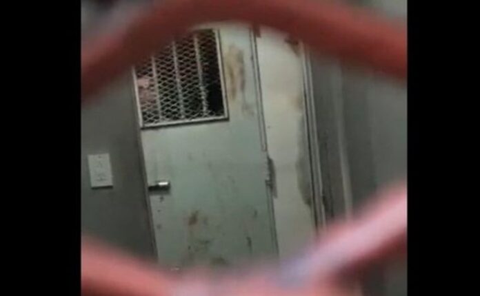 captura de video