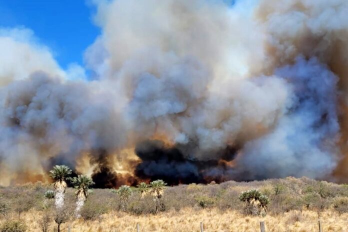 incendios1