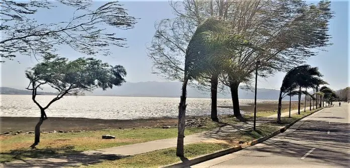 vientocostanera