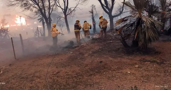 Incendio-norte-provincial-2