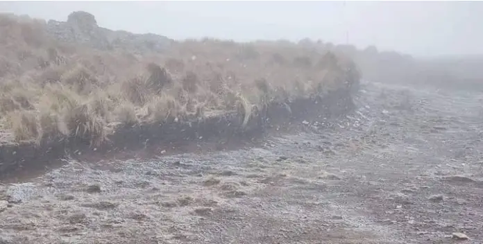 Screenshot_20230904-112701~2