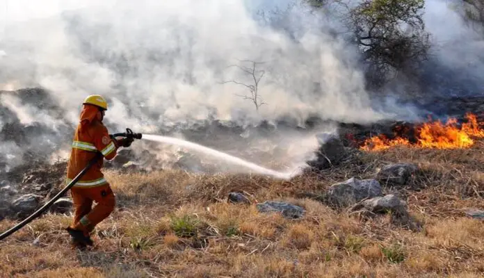 bomberos ilustrativa