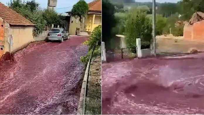 calles de vino