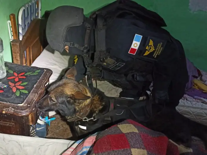 drogas carcel detenida