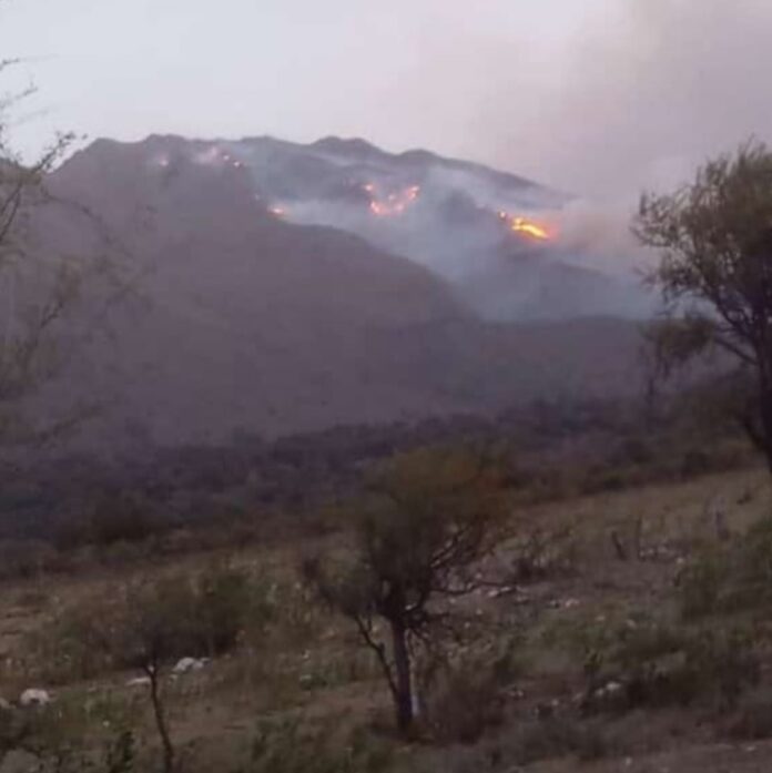 incendioLuyaba