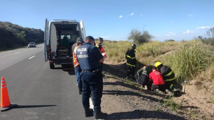 WhatsApp Image 2023-10-28 at 18.22.28