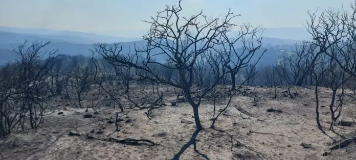 incendio después